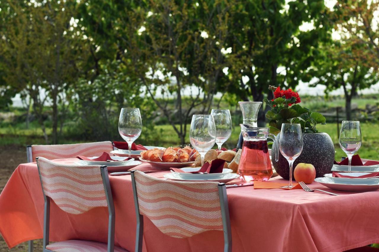 Easyliving House Near Zadar Villa Поседарье Екстериор снимка