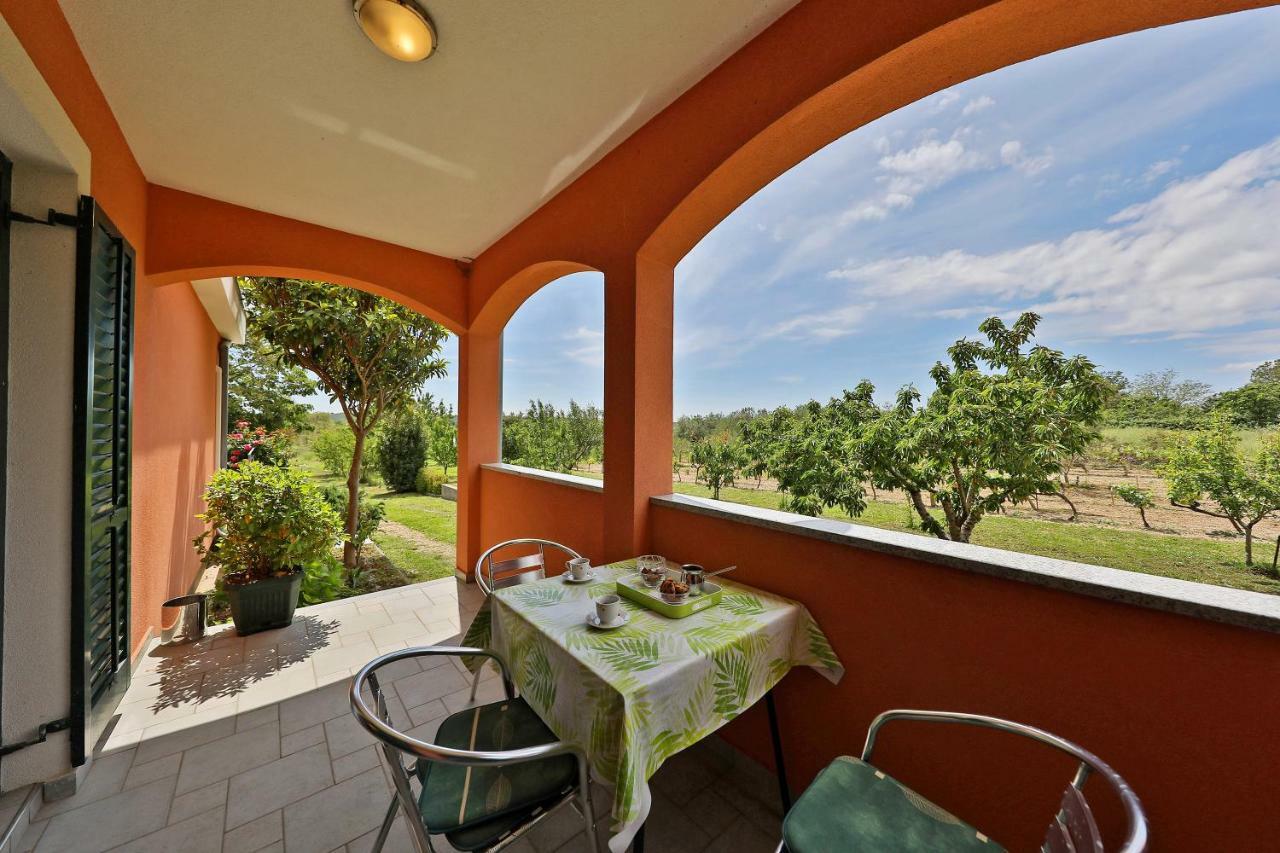 Easyliving House Near Zadar Villa Поседарье Екстериор снимка